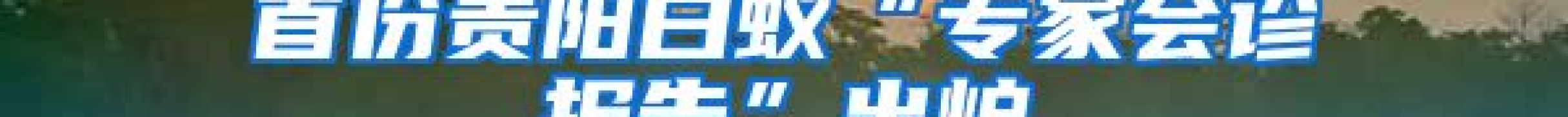 首份貴陽(yáng)白蟻“專家會(huì)診報(bào)告”出爐